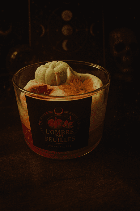 L’ombre des feuilles 