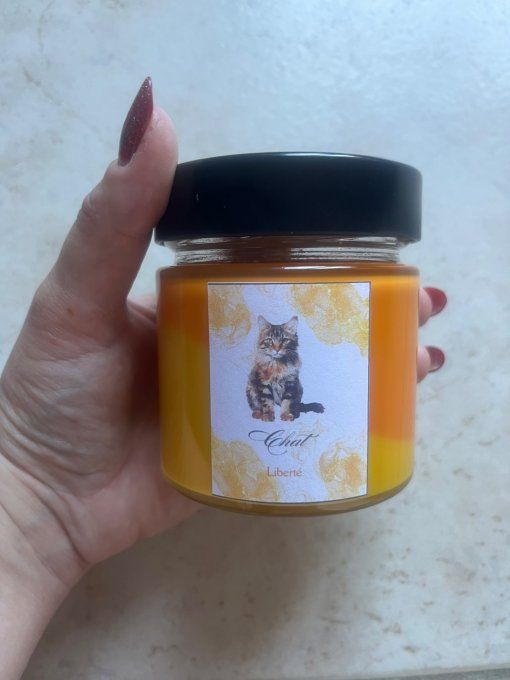 Bougie animaux totem